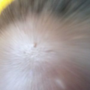 Meet your Posher, Cody